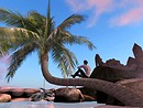 seaside