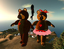 Stillman - another pretty bear place_001