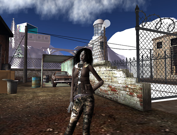 Rosecliff Canyon - nice urban decay style_001