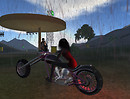 Brilliant - the weather cant be meant_001