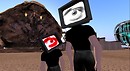 TV heads