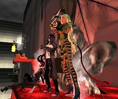 heca, vlad, jenny - 2