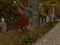 Caledon Ahavah in autumn