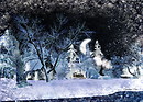 Frosty Night