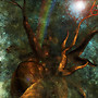 big tree