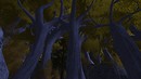 Lotro - Lothlorien II
