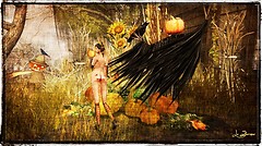 Pumpkins (eheh)