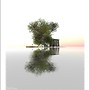 The Tree, the Cant and the Island