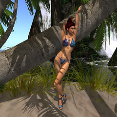 bikini shadows 1
