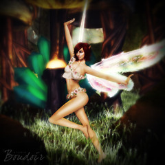 fairy griz