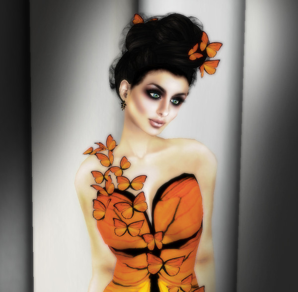 BUTTERFLY