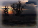 twilight