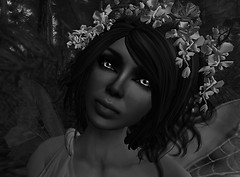 Darling_008