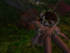 Darling_006