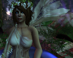 Darling_001