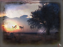 Sunset Haze