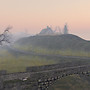 ROCHE_001