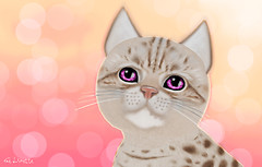 Yes, I'm a crazy cat lady now...