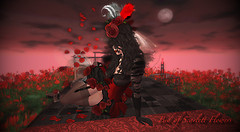 Bed of Scarlet Flowers
