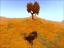 High Mountain Respite