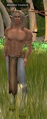 whystler-secondlife02b