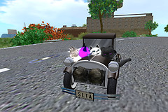 Kitty Crusiers