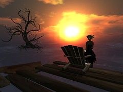 Watching the sunset - lizzy.ames