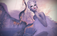 ninetails