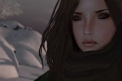 The Winter