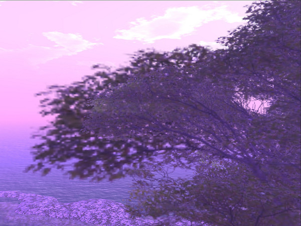 5297276090_9b07ce50f2_b