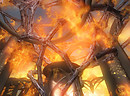 The Temple Aflame