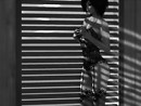 lingerie-lace-blinds_022ps-bw