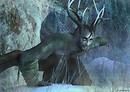 Yule ~ The Horned God rises