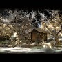 un HiveR sur MiLvuS