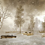 *WinterTime*