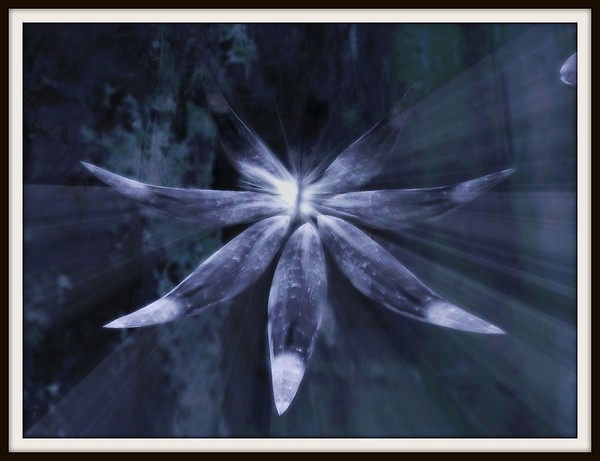 Ice Flower