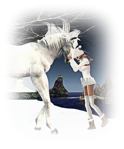Unicorn Encounter