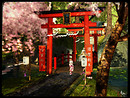 shrine gate