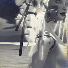 she cyborg