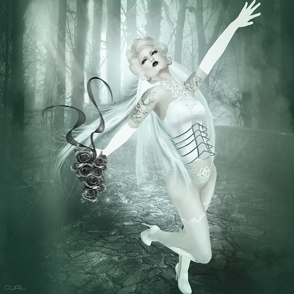 Marry the night