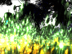 Photohunt 01/11/12 Theme Blur
