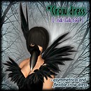 [ ridi-ludi-fool ] *Crow dress POP3