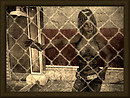caged - Vintage Series