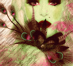 Behind feathers