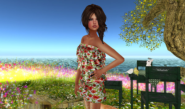 Alirium - Spring area (9)