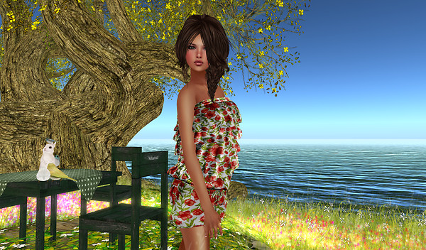Alirium - Spring area (8)