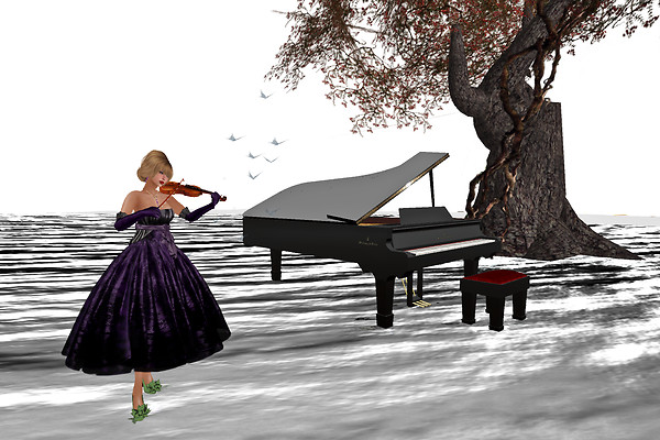 playing violin in Chouchou Jan 29 2012 silver bg R