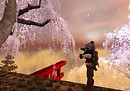 Wandering cameraman