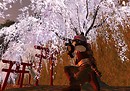 Wandering cameraman