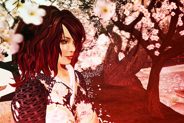 cherry-trees
